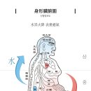 지선당한의원 이미지