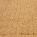 코이어(coir)