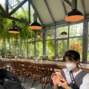 데이드림빌리버 이미지