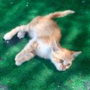 맑은세차장 이미지