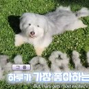 숙희농장 이미지