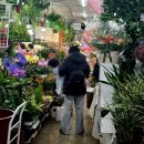 남대문관광안내소 | [서울] 남대문시장 알뜰 쇼핑 코스 : 무료 주차, 갈치조림/호떡/만두/어묵 맛집, 아동복/그릇/문구/꽃...