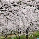 화전소류지 네이버블로그