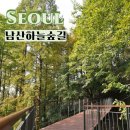 순환로 405번길 | 서울 도심 속 숨겨진 단풍 명소 남산하늘숲길 주차장 산책코스 가는 방법