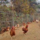 봄빛농장 이미지