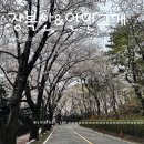 바람고갯길 | 봄 산행 명소 3, 진해를 품은 벚꽃 산행, 장복산 능선길과 안민고개 트레킹 후기