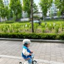 🛴 [리얼 후기] 26개월 아기 킥보드 입문! 스쿳앤라이드 vs 마이크로 비교 후기