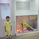 버드나무자동차공업사 | [7살 아이랑] 글로벌지식협력단지 어린이체험관&amp;유아 경제 동화구연_서울 동대문구