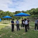 펫빌리지 이미지