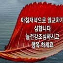 암보다 무서운 치매 이미지