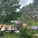 평창민박 이미지