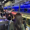 밀양시립영어도서관 이미지