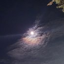 착한통술 이미지
