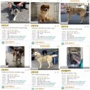 서일동물병원 이미지