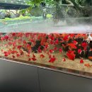 공주소풍관광펜션 이미지