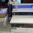 권곡초등학교 정문 이미지