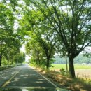 봉화중학교 봉성분교장 이미지