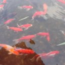 인삼랜드휴게소 이미지