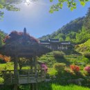 나루펜션 이미지