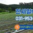 선유리공인중개사사무소 이미지