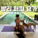 퍼피클럽 | [발리 퍼피요가 후기] 짱구에서 경험한 힐링 요가✨ 예약·위치·후기 총정리