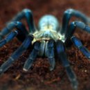 코발트블루 이미지