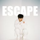 니브 카카오 검색결과