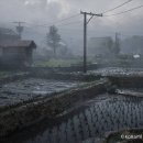 e참아름마트 이미지