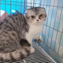 동부 동물병원 이미지