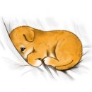 광남이네 이미지