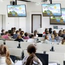 영보전자 이미지