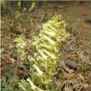 신북로2 이미지