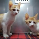 서재동물병원 이미지