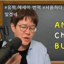 영어본 리뷰 서비스 (예. ChatGPT로 번역한 것 등 모든 영어 VERSION) 이미지