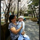 수연 이미지
