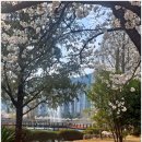 연지공원 이미지