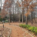 다같이한다궁/낙엽밟으면서 이미지