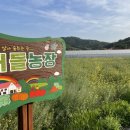 버들하우스 이미지