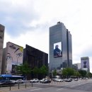 도산대로 이미지