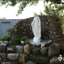 의곡1리 이미지