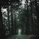 개인사유지 이미지