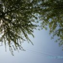 토평초등학교(병설) 이미지