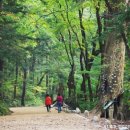 하늘목장 이미지