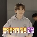 [교생실습 4주차 🏫] 05.25-05.29 / 교사는 가르치는 것이 아닌 배움을 얻도록 도움을 주는 주체