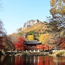 장성김밥 이미지