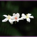 힐링의 바다 이미지