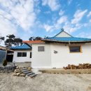 송산주택 | 강화도 독채펜션 감성숙소 송산주택 숙박 후기