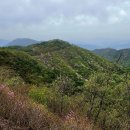 가산공원 Daum카페