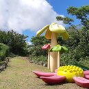 서광리-6 이미지