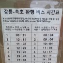 세븐일레븐 강릉터미널점 이미지